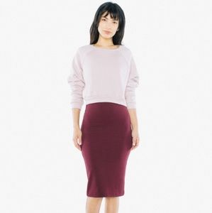American Apparel "classic girl" high-waisted skirt